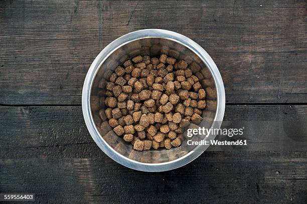 bowl with dog food - hondenbak stockfoto's en -beelden
