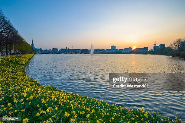 germany, hamburg, binnenalster at sunset - alster river stock pictures, royalty-free photos & images