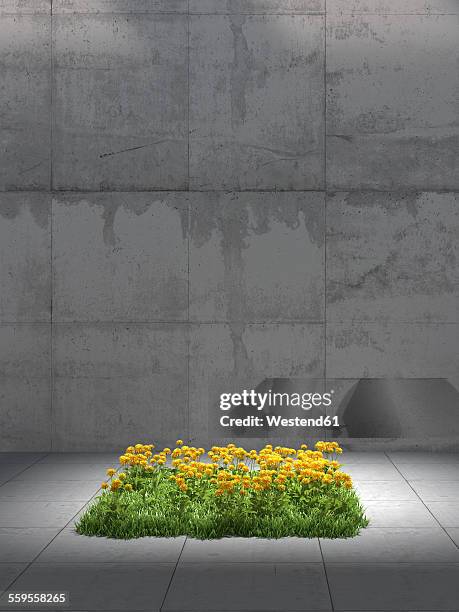 stockillustraties, clipart, cartoons en iconen met square of dandelion meadow in between concrete surrounding, 3d rendering - meadow