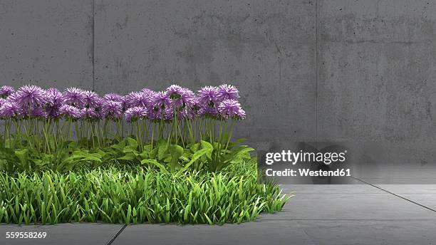 meadow with purple blossoms in between concrete surrounding, 3d rendering - ordering stock illustrations