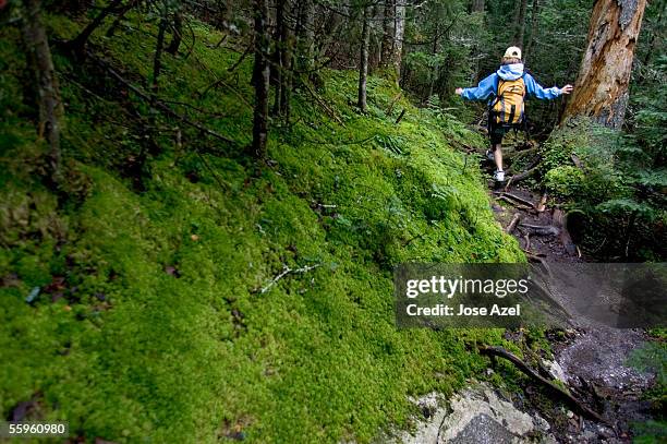 a young girl passes through a moss covered trail in maine. - appalachian trail fotografías e imágenes de stock