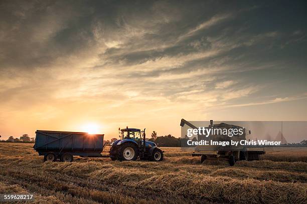 evening harvest - agricultural equipment bildbanksfoton och bilder