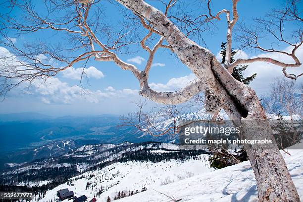snowy mountains, hakuba village, japan - hakuba fotografías e imágenes de stock