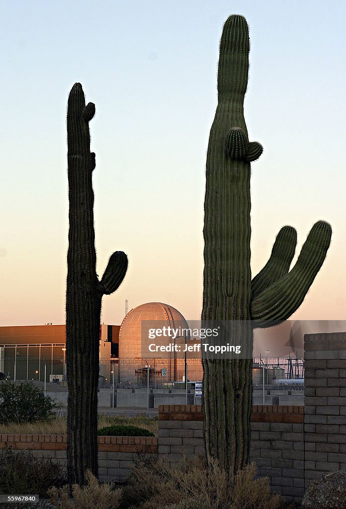 Nation's Largest Nuclear Plant To Re-Open