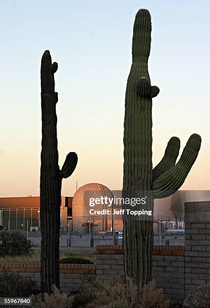 The Palo Verde Nuclear generating plant, the nation's largest nuclear power plant, is seen between two Saguaro cactus October 19, 2005 in Phoenix,...