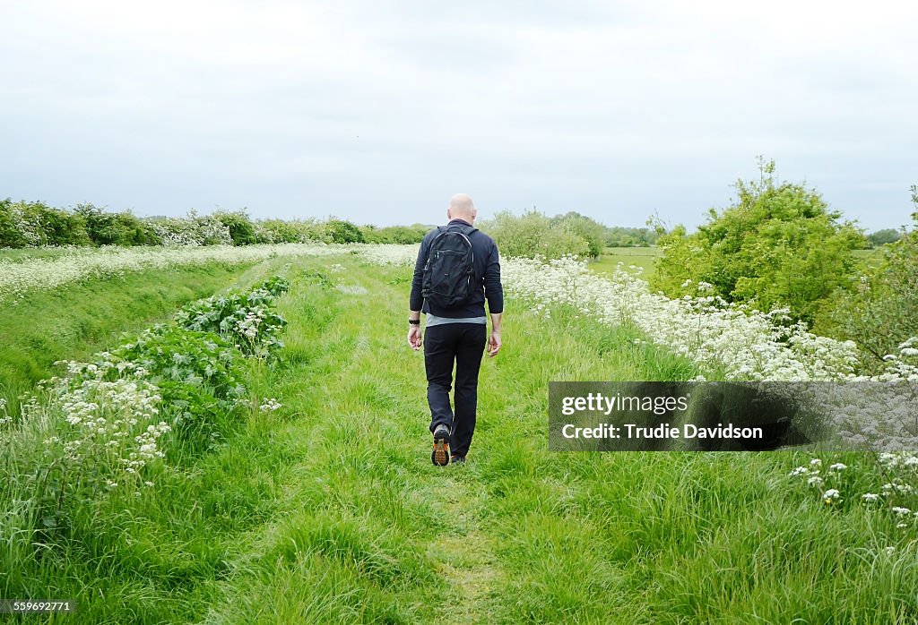 Man walking in the countryside