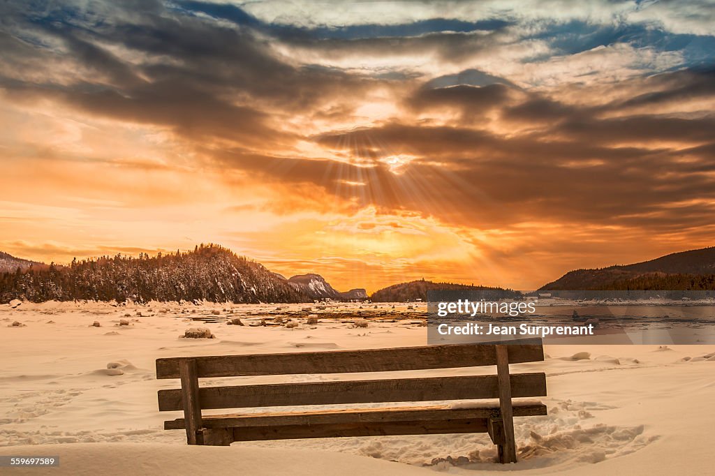 A bench in winter