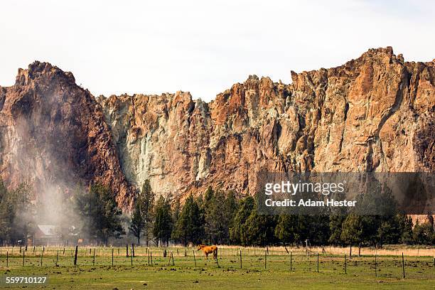 a single horse fenced in underneath a bluff - smith rock state park stock-fotos und bilder