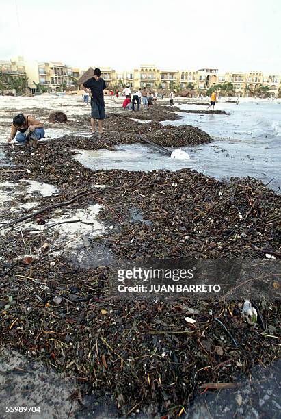 Turistas y habitantes de Playa del Carmen en Mexico buscan objetos en los desechos traidos a la costa despues de la gran marejada del huracan Wilma...