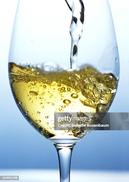 white wine - vin blanc photos et images de collection
