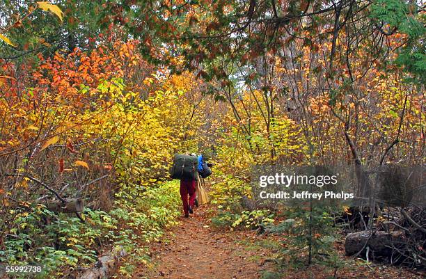 Pair of woman portage paddles and camping items on a portage between West Bearskin Lake and Duncan Lake in the Boundary Waters Canoe Area October 3,...