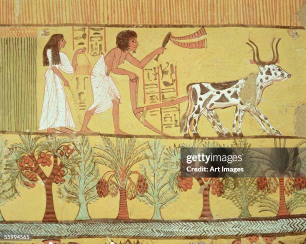 Sennedjem and his wife in the fields sowing and tilling, from the Tomb of Sennedjem, The Workers' Village, New Kingdom