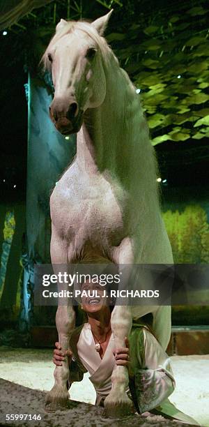 Arlington, UNITED STATES: Frenchman Frederic Pignon, equestrian co-director of Cavalia, looks up his Aetes, a White Spanish-Friesian stallion, as...