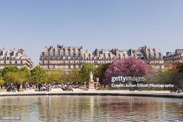 jardin des tuileries in paris, france. - museo del louvre fotografías e imágenes de stock