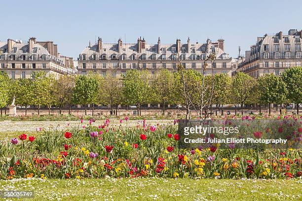 jardin des tuileries in paris, france. - jardín de las tullerías fotografías e imágenes de stock