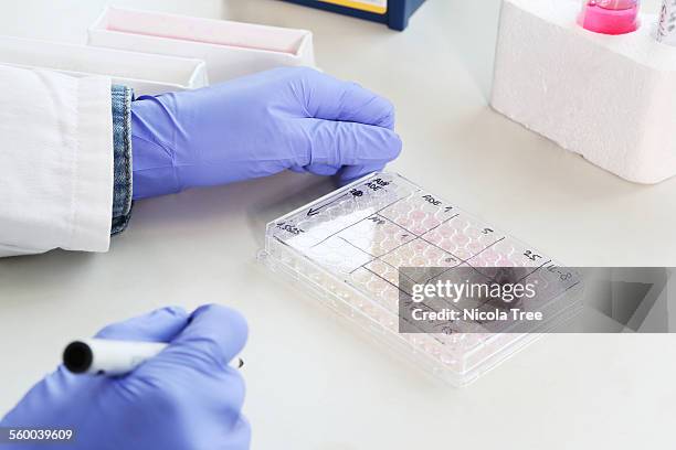 close up of a scientist writing on a 96 well plate - 96 well plate stock pictures, royalty-free photos & images