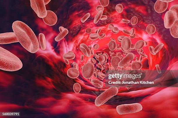 blood cells travelling in vessel - blood flow stock illustrations