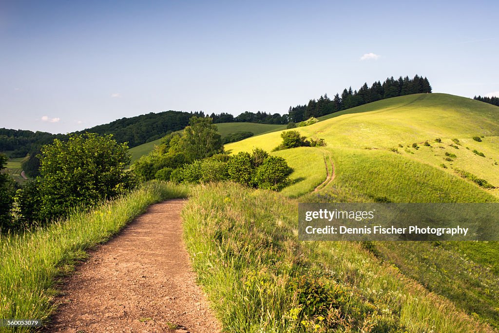 Rolling summer hills