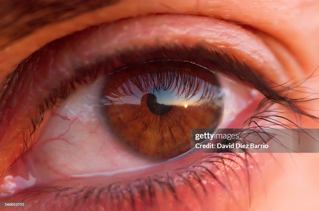 Photographic vision