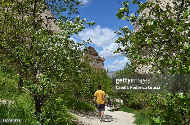 young man hiking in cappadocia - apple orchard in bloom stock pictures, royalty-free photos & images