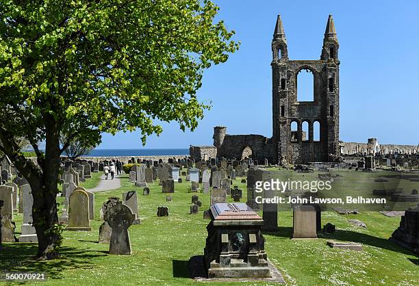 st andrews cathedral, st andrews, scotland - st andrews schotland stockfoto's en -beelden