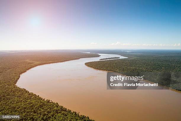 aerial view of iguaçu river - parque nacional de iguaçu imagens e fotografias de stock