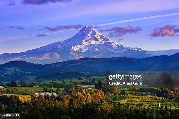 sunset over mt hood and hood river valley, oregon - columbia gorge ストックフォトと画像