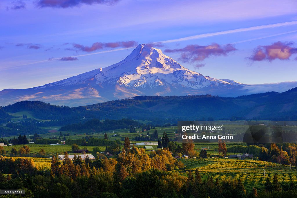 Sunset over Mt Hood and Hood River Valley, Oregon