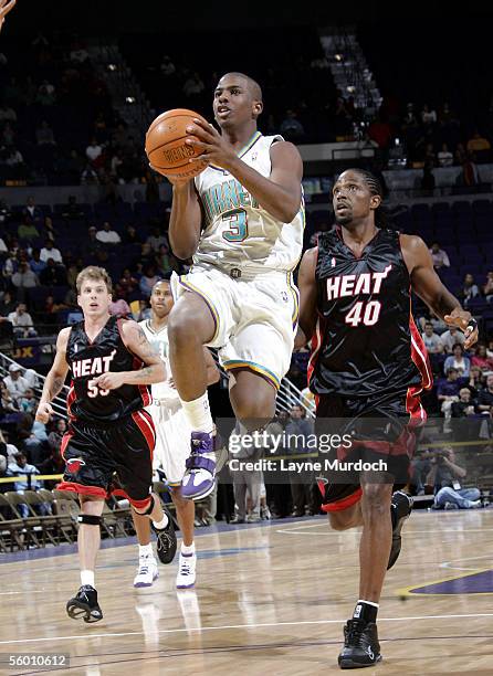 Chris Paul of the New Orleans/Oklahoma City Hornets shoots in front of Udonis Haslem of the Miami Heat during a preseason game on October 25, 2005 at...