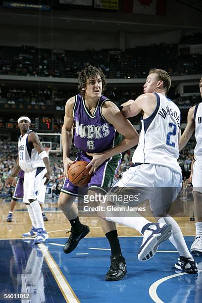 Andrew Bogut of the Milwaukee Bucks muscles his way into the lane against the Dallas Mavericks on October 25, 2005 at American Airlines Center in...