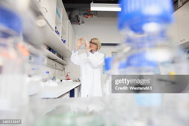 Counter Backround Lab Lab Counter Background Photos and Premium High Res Pictures - Getty Images