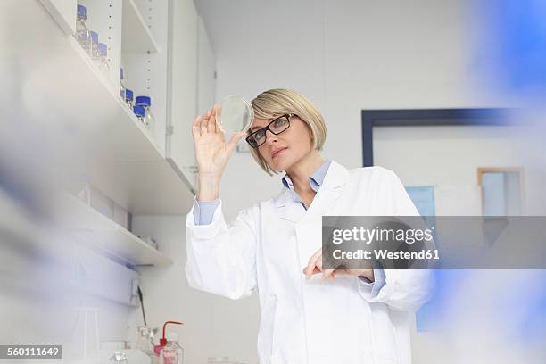 Counter Backround Lab Lab Counter Background Photos and Premium High Res Pictures - Getty Images