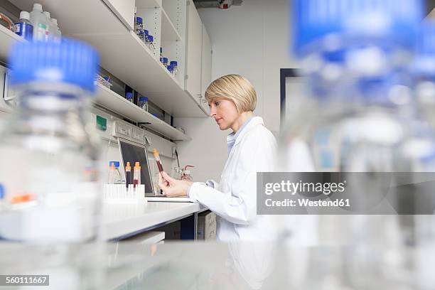 Counter Backround Lab Lab Counter Background Photos and Premium High Res Pictures - Getty Images