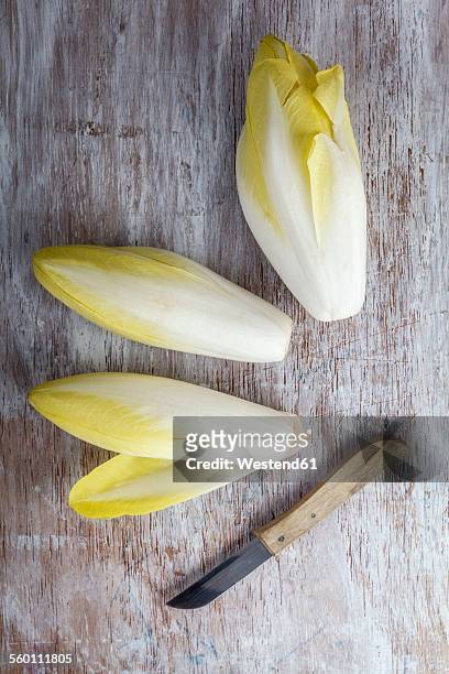 three chicories and kitchen knife - chicory stock pictures, royalty-free photos & images