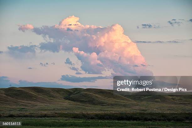 small cumulonimbus cloud over grasslands national park - グラスランズ国立公園 ストックフォトと画像