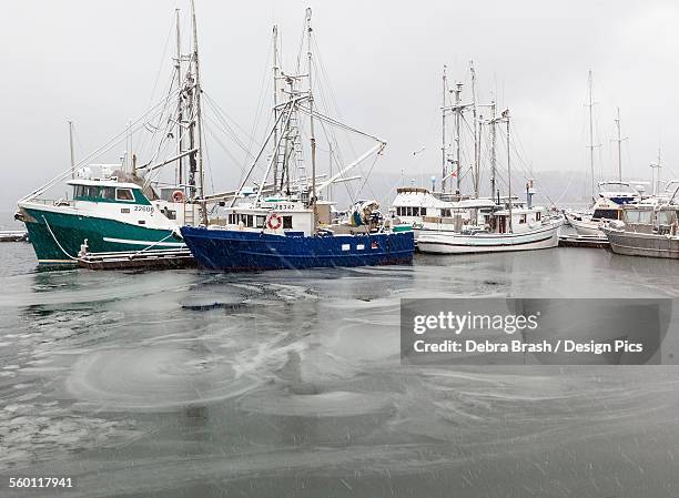 boats sit at dock as ice covers the waters in the seaside village of cowichan bay on vancouver island - cowichan bay stock pictures, royalty-free photos & images
