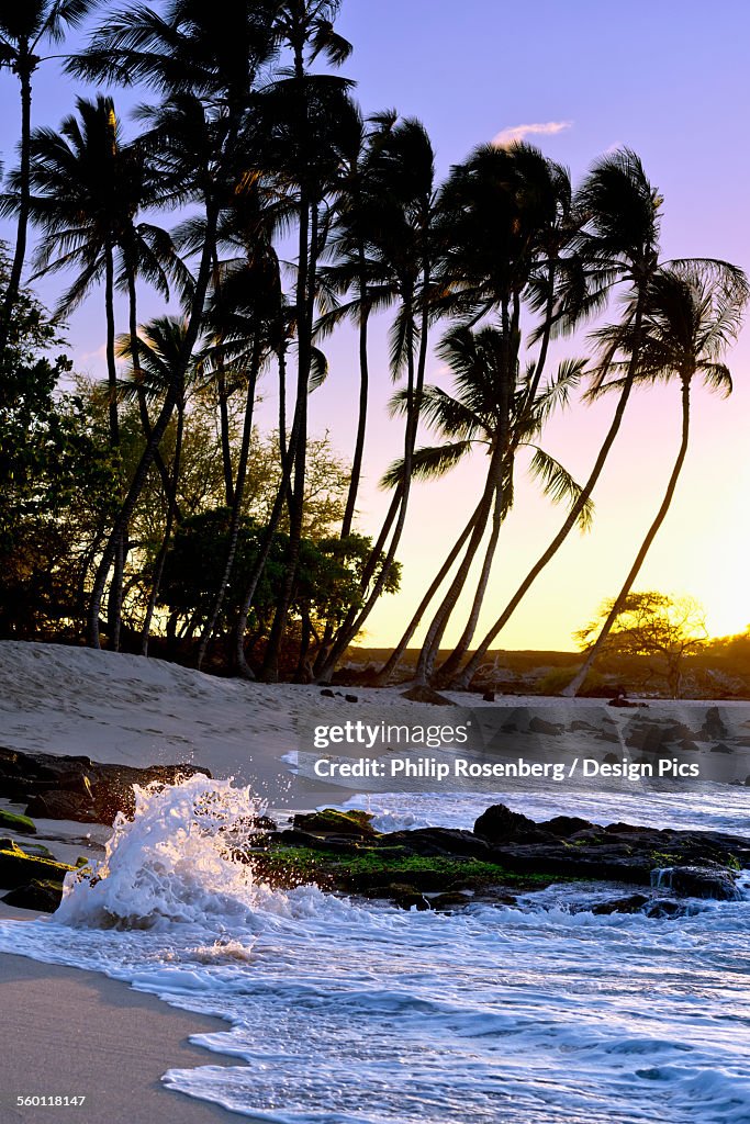 Mahaiula Beach and surf, Kona Coast