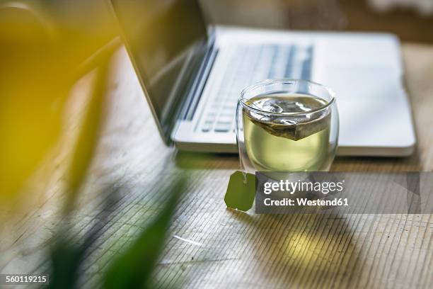 glass of green tea beside laptop - green tea stock-fotos und bilder