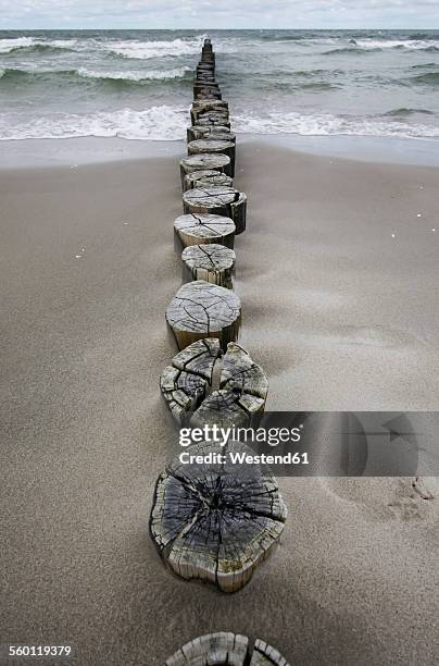 germany, fischland darss zingst, wooden stakes on the beach - fischland darss zingst stock pictures, royalty-free photos & images