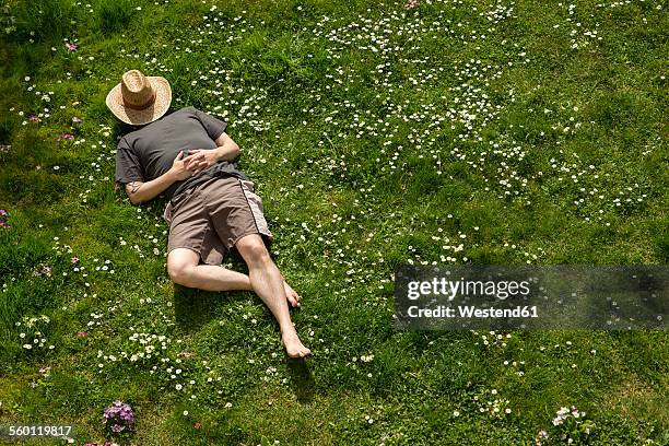 man lying in grass relaxing - wiese stock-fotos und bilder