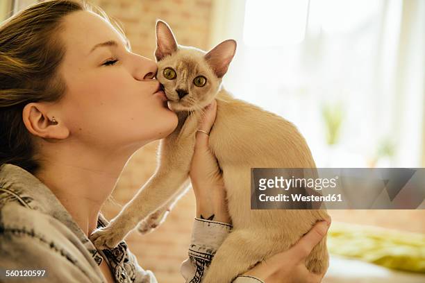 woman kissing burmese cat - burmese cat stock pictures, royalty-free photos & images