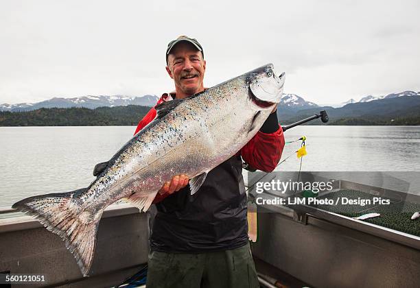 success catching king salmon near homer, kachemak bay - homer alaska stock pictures, royalty-free photos & images