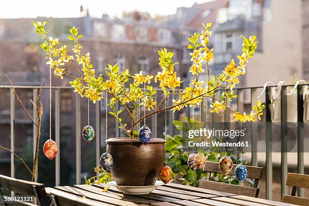 balcony easter decoration in forsythia - frühling deko stock-fotos und bilder