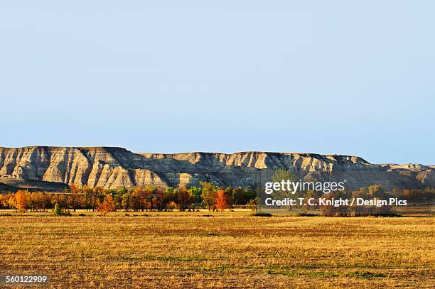 Elkhorn Ranch Images 16 Elkhorn Ranch Stock Photos, High-Res Pictures, and Images - Getty Images