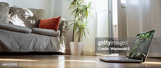 laptop standing on wooden floor in a living room - panoramic room photos et images de collection