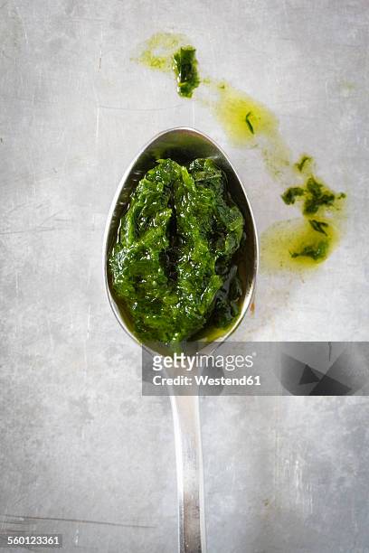 spoon with ramson pesto - pesto stock-fotos und bilder