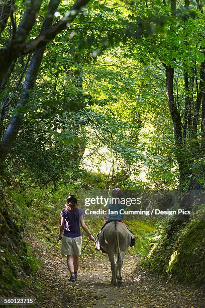 mother with girl on donkey walking along a trail - ass six stock pictures, royalty-free photos & images