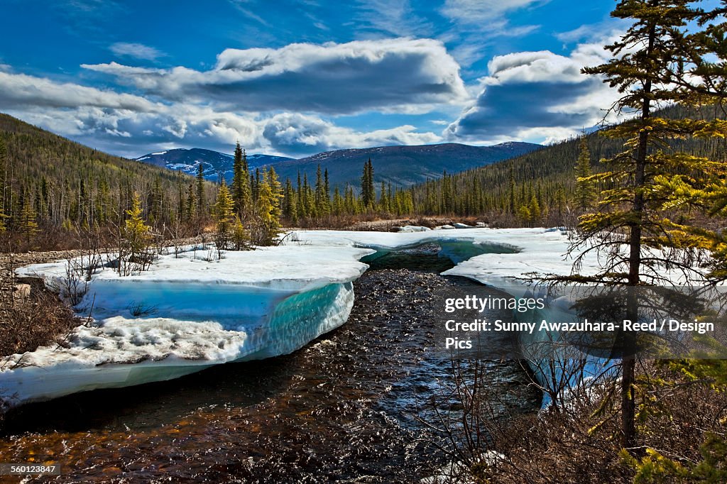 Monument Creek meanders through melting snow in early spring, Chena River State Recreation Area