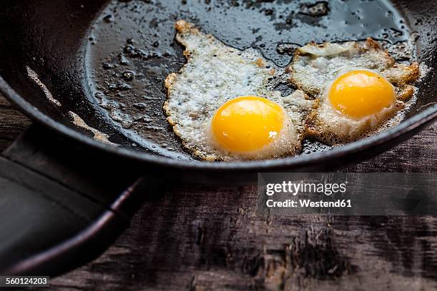 fried quail eggs in pan - uovo di quaglia foto e immagini stock