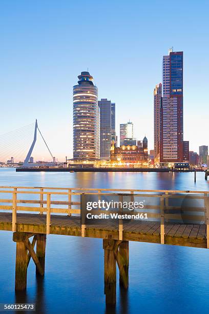 netherlands, county of holland, rotterdam, view to erasmus bridge, kop van zuid, pier in front - erasmusbrug stock pictures, royalty-free photos & images